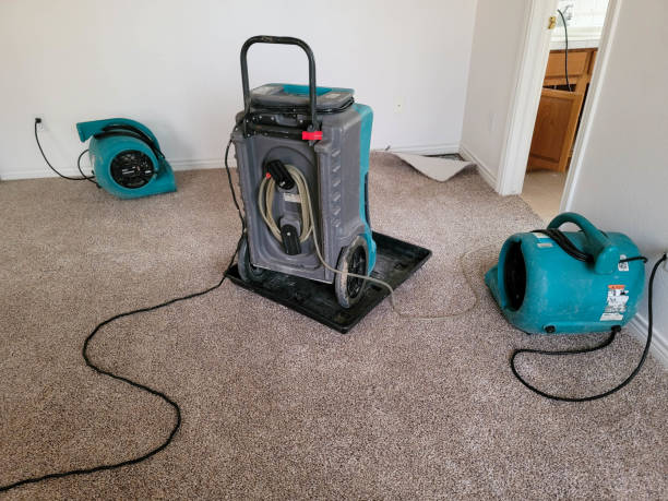  Muscatine, IA Water damage restoration Pros