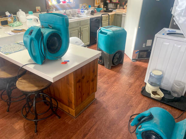 Best Local water damage restoration  in Muscatine, IA