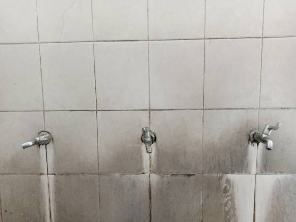  Muscatine, IA Water damage restoration Pros