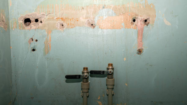 Best Water damage restoration cost  in Muscatine, IA