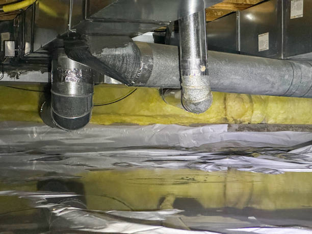 Best Fire Damage Restoration  in Muscatine, IA