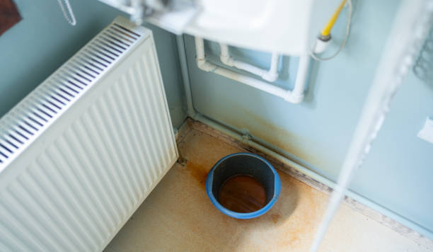 Best Basement water damage restoration  in Muscatine, IA
